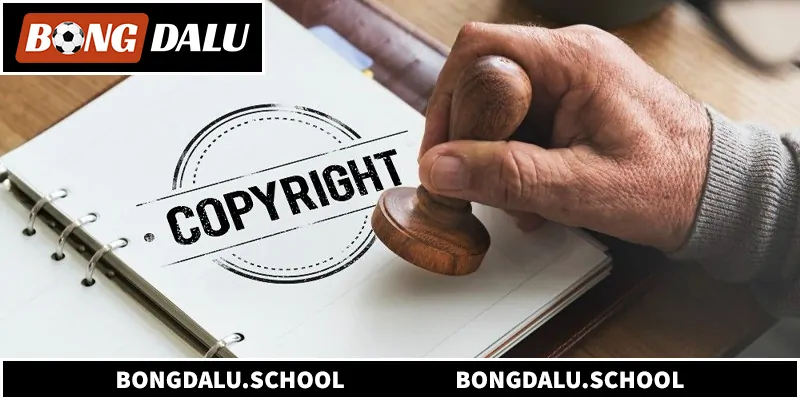 Tìm hiểu chi tiết về bản quyền BongDaLu