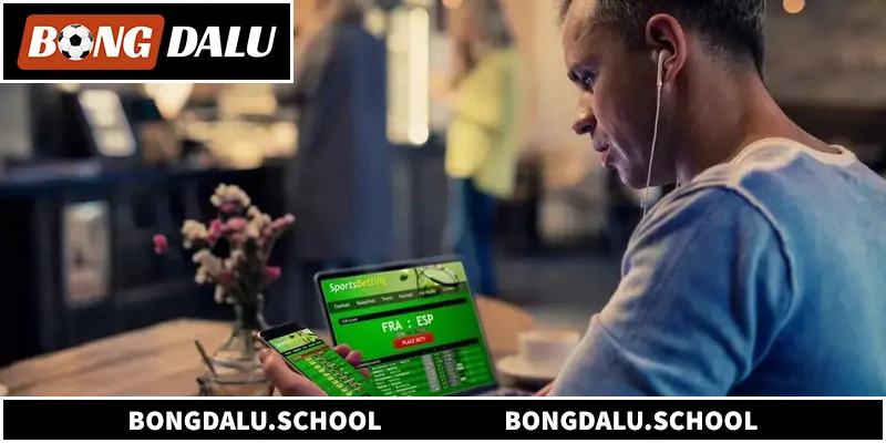 Tổng quan về hệ thống livescore BongDaLu